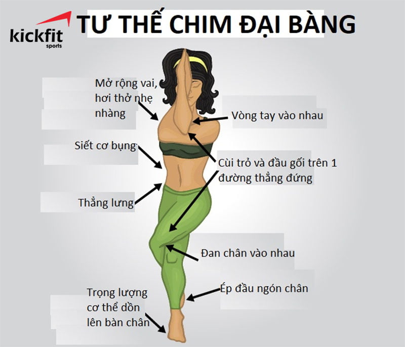 tu-the-chim-dai-bang-chuan