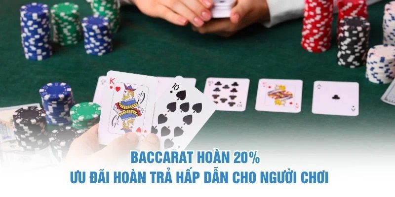 Baccarat hoàn 20%